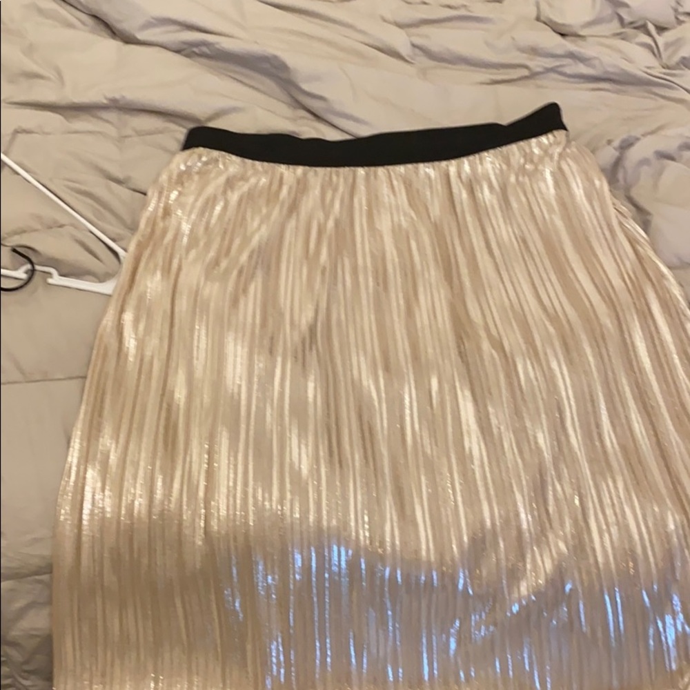 Metallic Pleated Skirt